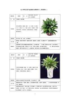 50种常见室内绿化植物介绍(带高清图片)