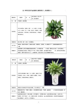 50種常見室內綠化植物介紹(帶高清圖片)