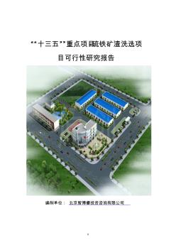 “十三五”重點(diǎn)項目-硫鐵礦渣洗選項目可行性研究報告