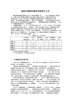 “湖南华菱钢铁集团公司“研究
