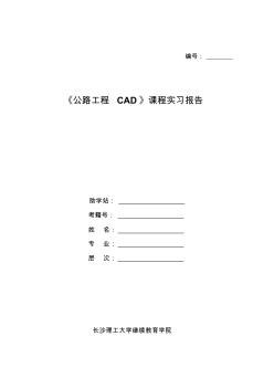 《公路工程CAD》课程实践大纲及实习报告