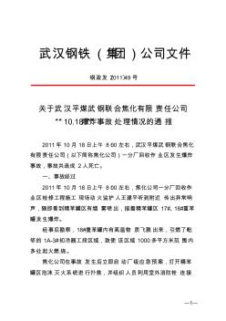 【免费下载】钢政发49号关于武汉平煤武钢联合焦化有限责任公司1018爆炸事故处理情况的通报