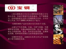 上海宝钢集团公司-PPT文档