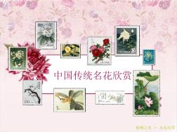 中国传统名花欣赏_山茶