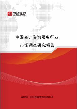 中国会计咨询服务行业市场调查研究报告(目录)