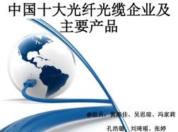 中国十大光纤光缆企业 (2)