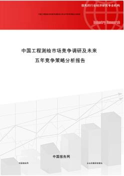 中国工程测绘市场竞争调研及未来五年竞争策略分析报告
