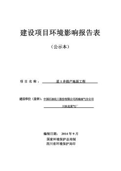 中国市场经济研究院：中国石油化工股份有限公司西南油气分公司川东北采气厂建设项目环境影响报告表