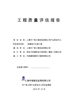 中广核桩基子分部质量评估报告