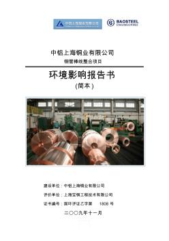 中铝上海铜业有限公司环评报告书