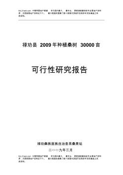 云南祿勸縣2009年30000畝蠶桑基地建設項目可行性研究報告