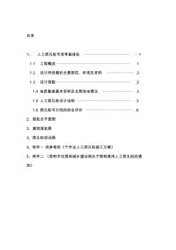 人工挖孔樁專項(xiàng)審查報(bào)告