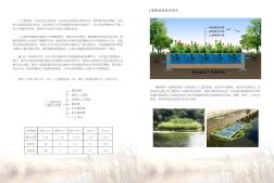 人工湿地原理及工程案例 (2)