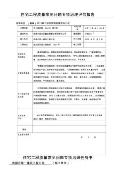 住宅工程质量常见问题专项治理评估报告