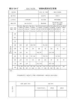 全套高层绝缘电阻检测填写实例(最精典)