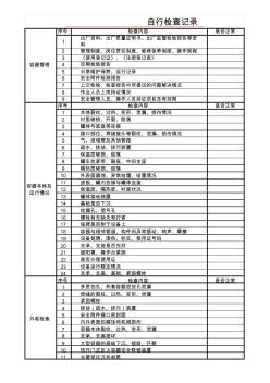 压力容器企业自行检查记录样本20160818