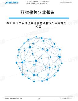 四川中恒工程造价审计事务所有限公司南充分公司-招投标数据分析报告