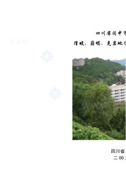 四川省某镇中学区域滑坡、崩塌、危岩地质灾害工程地质勘察报告
