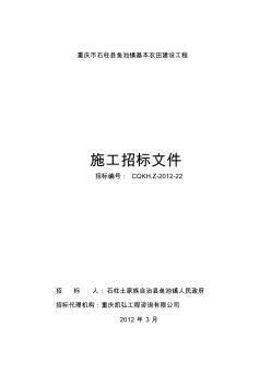 土地整理项目招标文件(2012.3.7)