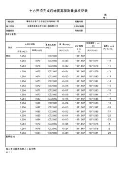 土方开挖完成后地面高程测量复核记录