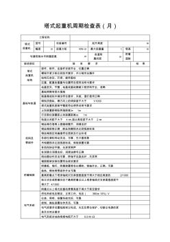 塔式起重机周期检查表(月)