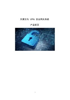 天清汉马VPN安全网关系统产品彩页