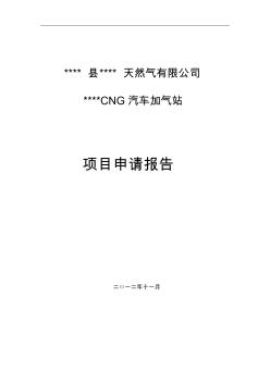 天然气有限公司CNG汽车加气站建设项目项目申请报告