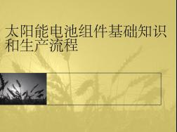 太陽(yáng)能電池組件工藝流程介紹ppt