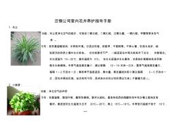 室内绿植花卉养护指导手册-精选.