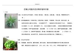 室内绿植花卉养护指导手册簿