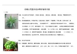 室内绿植花卉养护指导手册范本