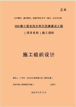 小型农田水利示范镇建设工程施工组织设计