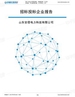 山東安信電力科技有限公司_中標190924