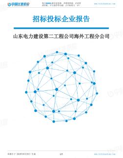 山東電力建設(shè)第二工程公司海外工程分公司_中標(biāo)190923