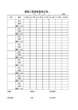 市政道路高程记录表