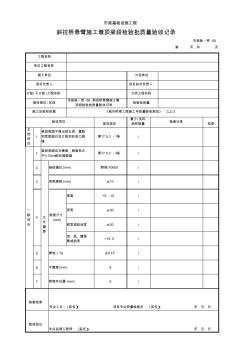 市政验_桥-58斜拉桥悬臂施工墩顶段检验批质量验收记录