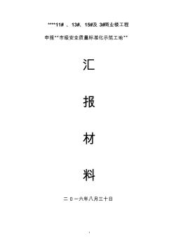 市级申报标准化工地汇报材料