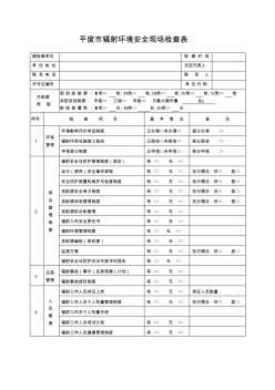 平度市辐射环境安全现场检查表(空白) (2)