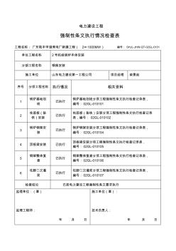 强制性条文检查记录表-副本