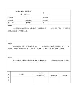 强度严密性试验记录) (2)