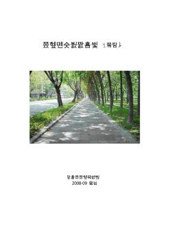 新版市政道路建设指南试行