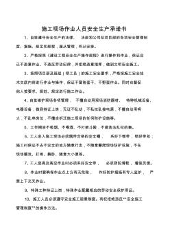 施工现场个人安全承诺书