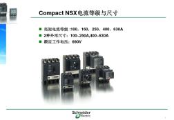 施耐德塑壳断路器NSX基本参数 (2)