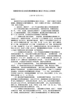 杨焕彩同志在全省住房保障暨城乡建设工作会议上的报告
