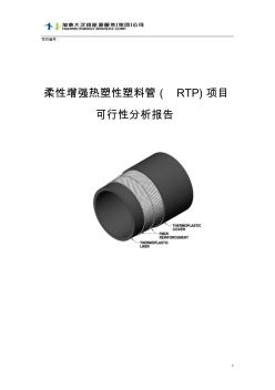 柔性增强热塑性塑料管(RTP)项目可行性分析报告
