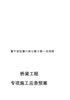 桥梁专项施工应急预案(20200817133749)