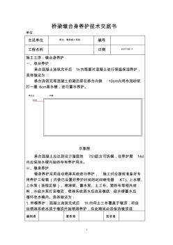 桥梁承台墩身养护技术交底书