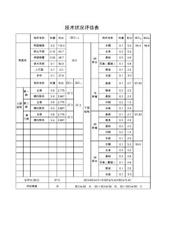 桥梁技术评估表BCI(三跨)