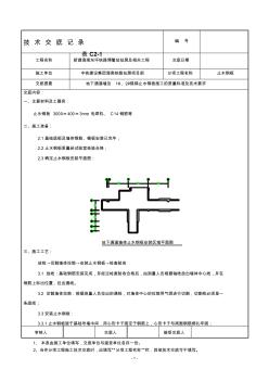 止水钢板技术