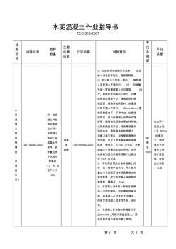 水泥混凝土作业指导书